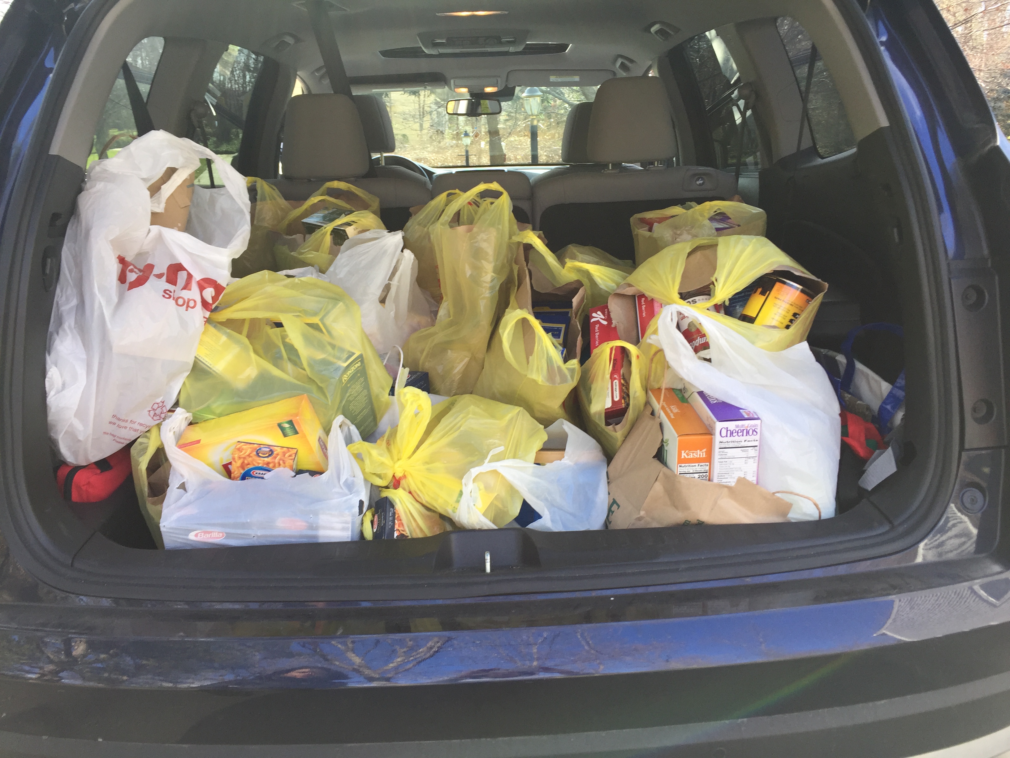 Emmanuel Food DriveIMG_0989