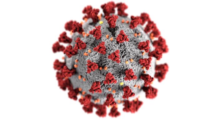 corona virus