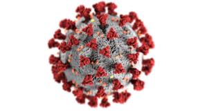 corona virus